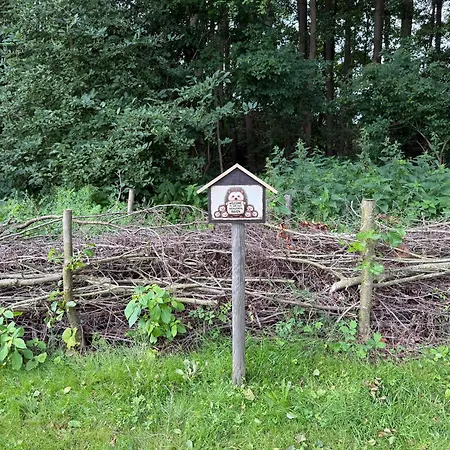 Дом отдыха Stegahoi - Haus Mit Eigenem Bootssteg Райнсберг